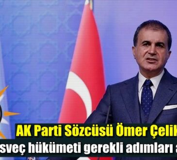 AK Parti Sözcüsü Ömer Çelik