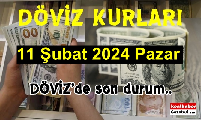 Döviz piyasası