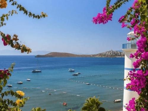 Bodrum Fotoğrafları