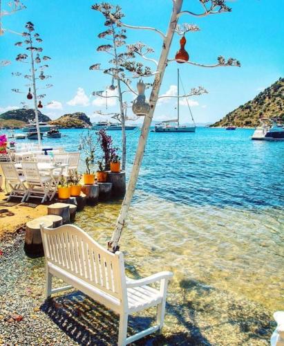 Bodrum Fotoğrafları