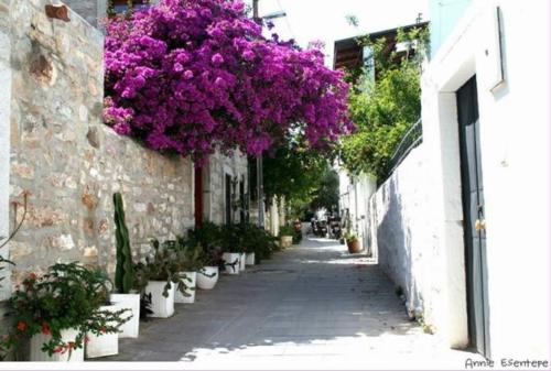 Bodrum Fotoğrafları